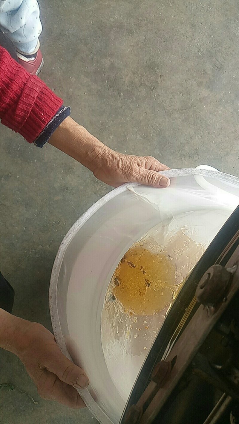 冬蜜，广东南方鸭脚木蜜！