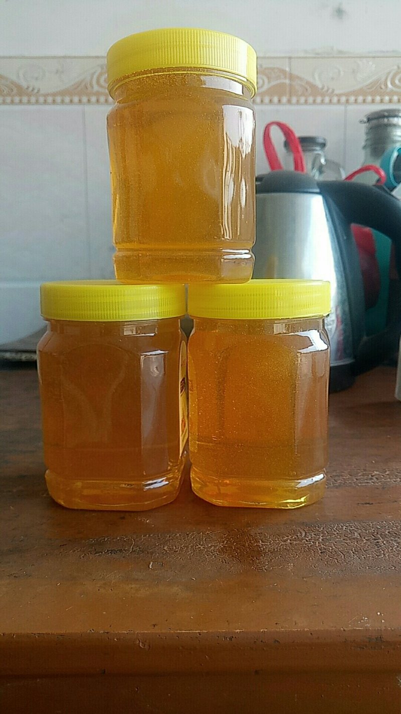 冬蜜，广东南方鸭脚木蜜！