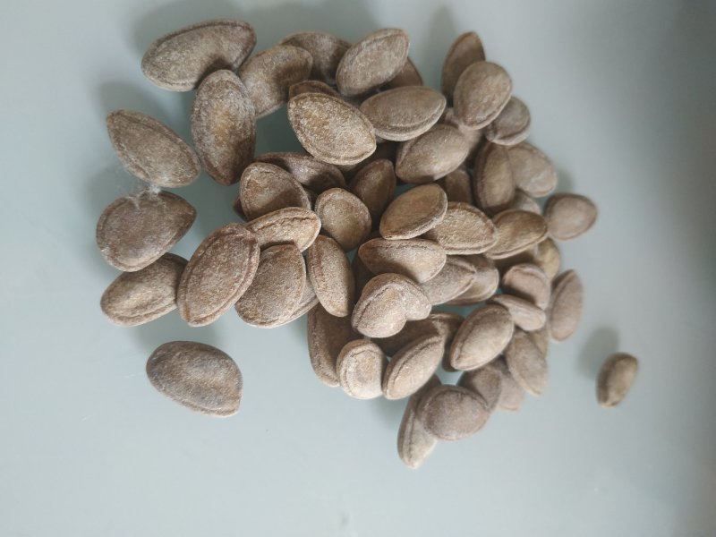 瓜子，香瓜子，瓜蒌籽，9号品种