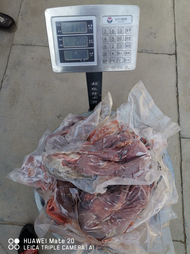 兔肉