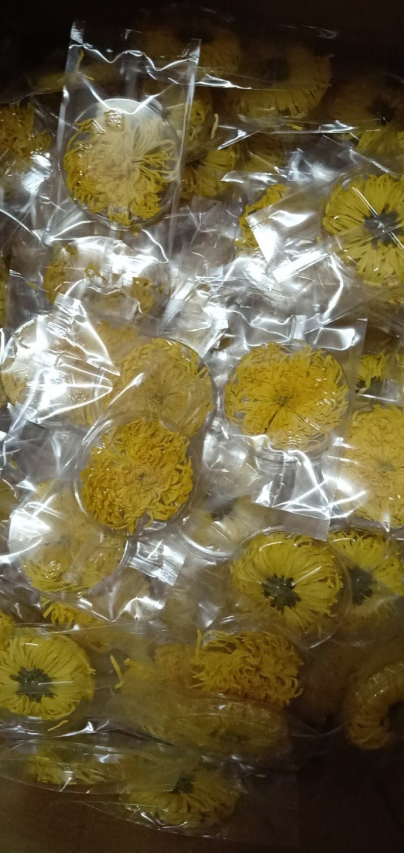 2019年新花修水原产地金丝皇菊