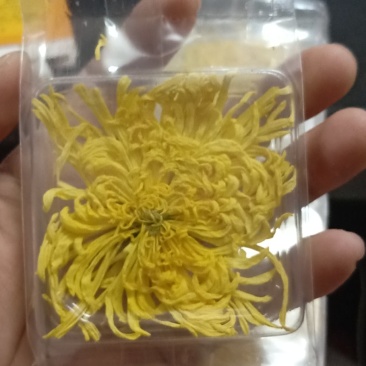2019年新花修水原产地金丝皇菊