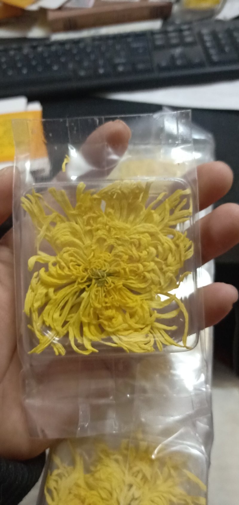 2019年新花修水原产地金丝皇菊