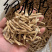 各种规格牛大力干货（泡酒煲汤）