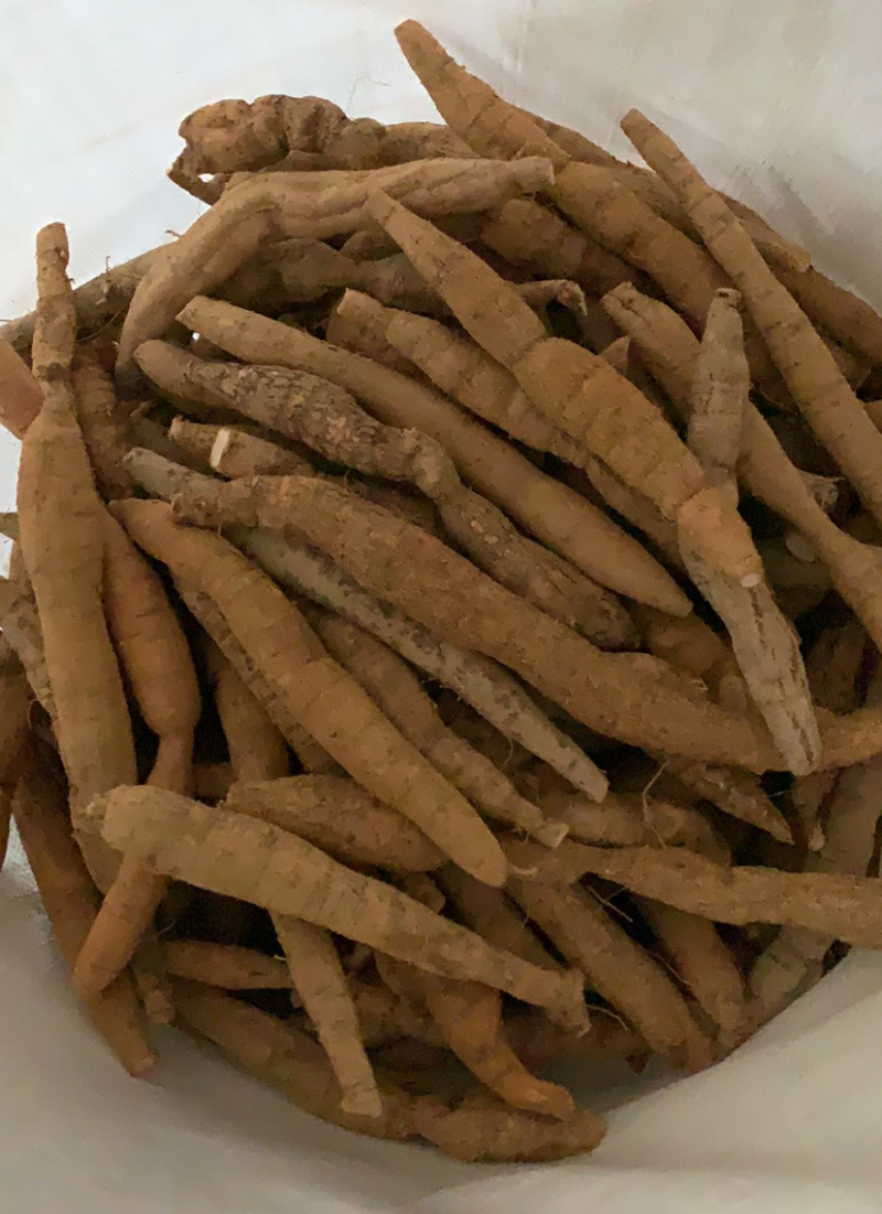 圆牛，产地直销新鲜防野生牛大力（圆肥牛）