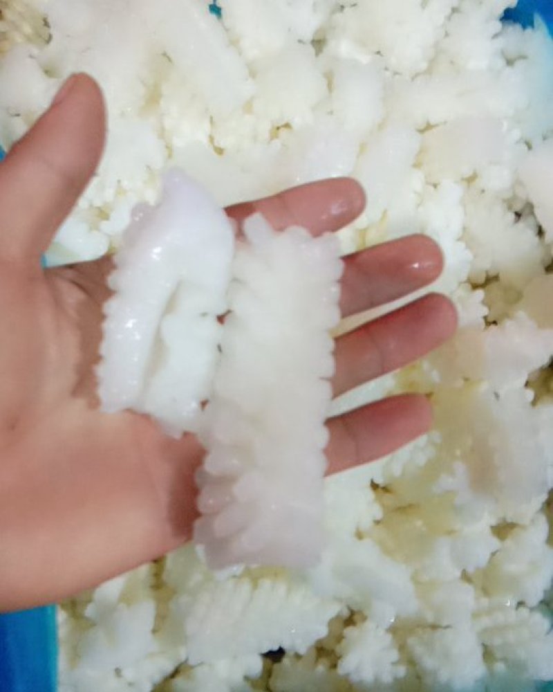 鲜嫩鱿鱼花目鱼花去皮鱿鱼卷新鲜鱿鱼花鲜冻海产品