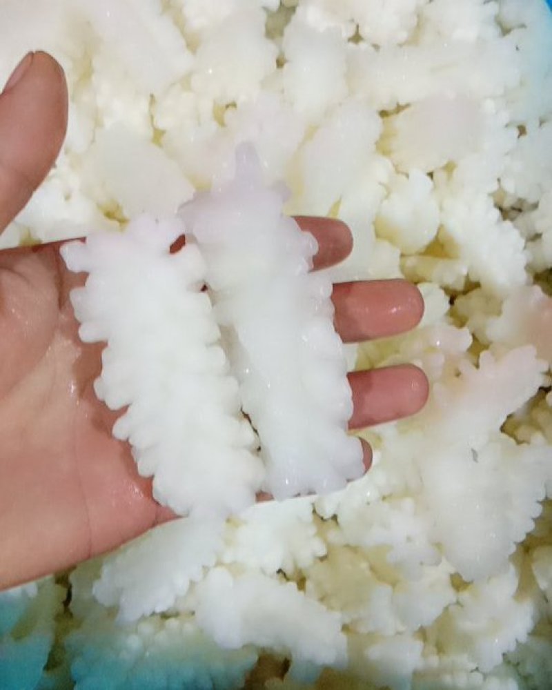 鲜嫩鱿鱼花目鱼花去皮鱿鱼卷新鲜鱿鱼花鲜冻海产品
