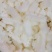 鲜嫩鱿鱼花目鱼花去皮鱿鱼卷新鲜鱿鱼花鲜冻海产品