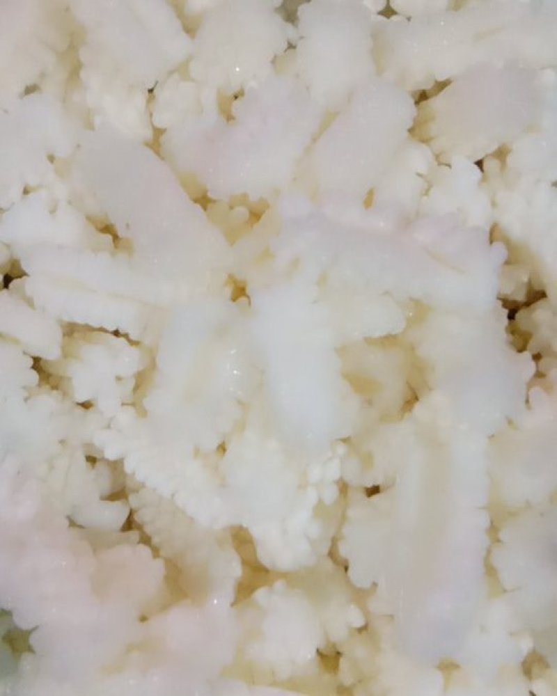 鲜嫩鱿鱼花目鱼花去皮鱿鱼卷新鲜鱿鱼花鲜冻海产品