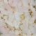 鲜嫩鱿鱼花目鱼花去皮鱿鱼卷新鲜鱿鱼花鲜冻海产品