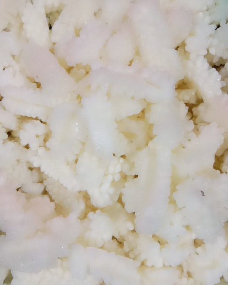 鲜嫩鱿鱼花目鱼花去皮鱿鱼卷新鲜鱿鱼花鲜冻海产品