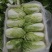 大量供应精品娃娃菜，黄心娃娃菜