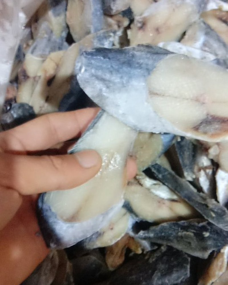 鲅鱼块鲅鱼马鲛鱼鲅鱼新鲜冷冻鲅鱼块海鲜鲜