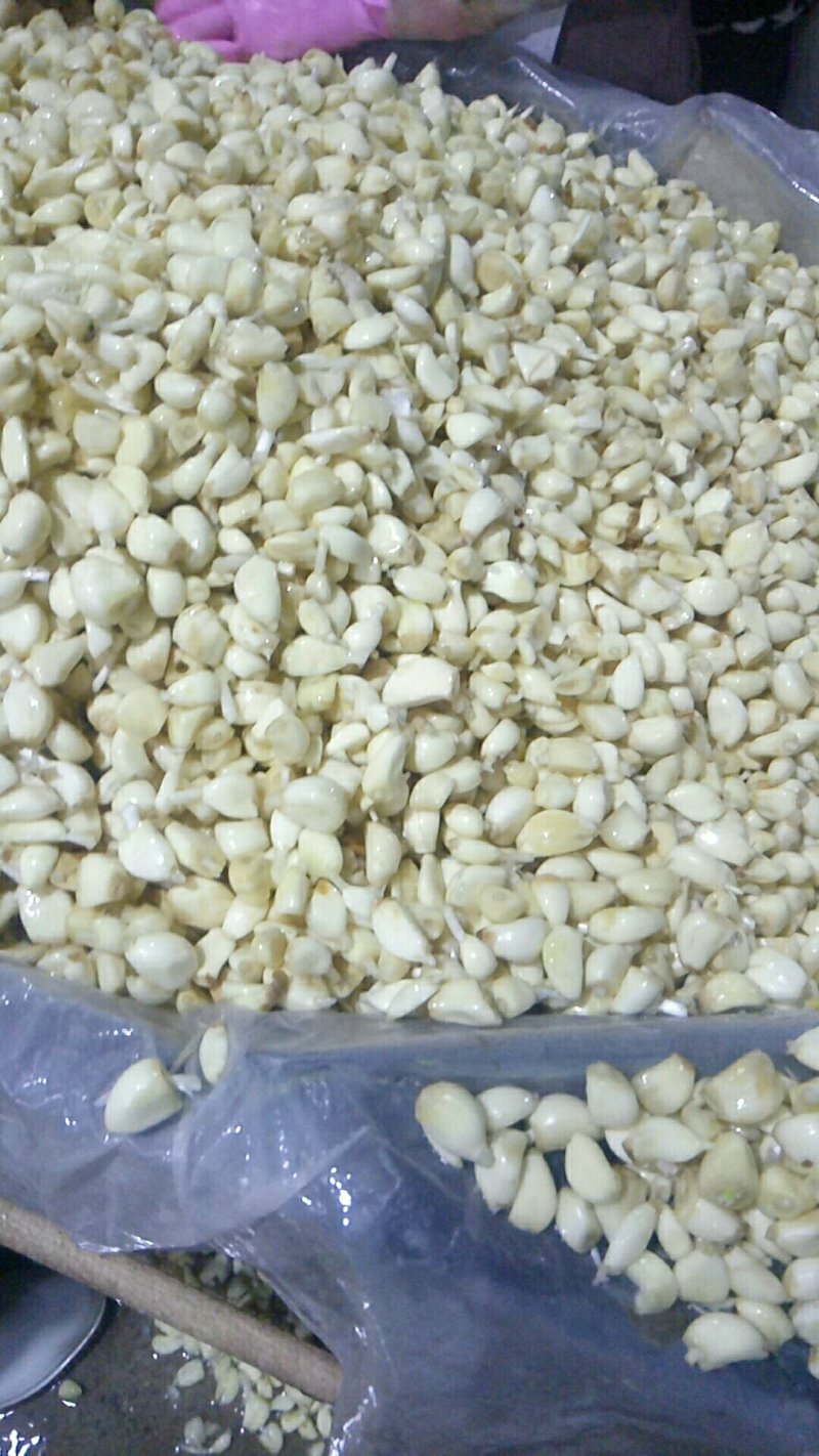 蒜米袋装蒜米袋装蒜米