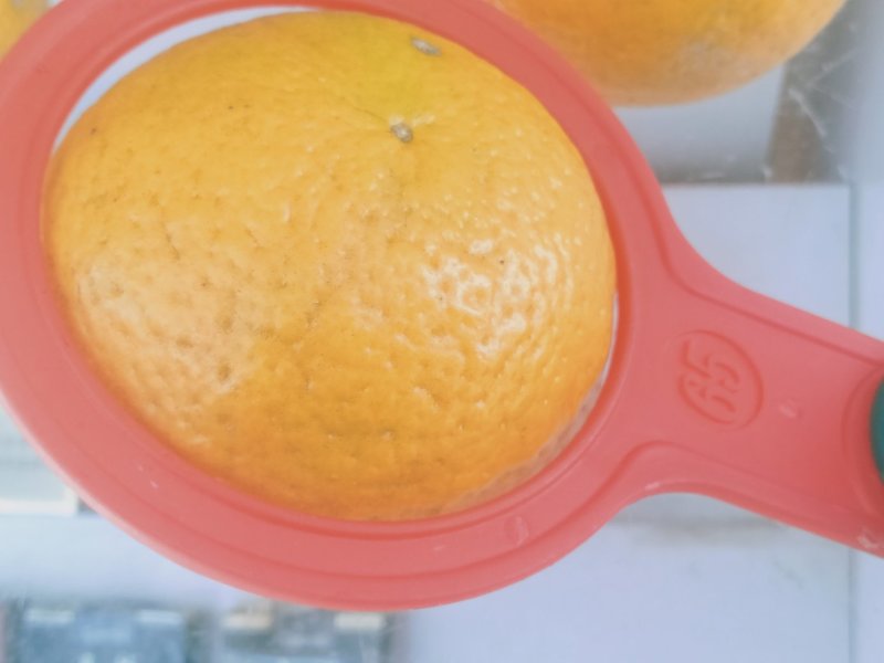 【精品】广西金秀皇帝柑大量上市,糖分充足，