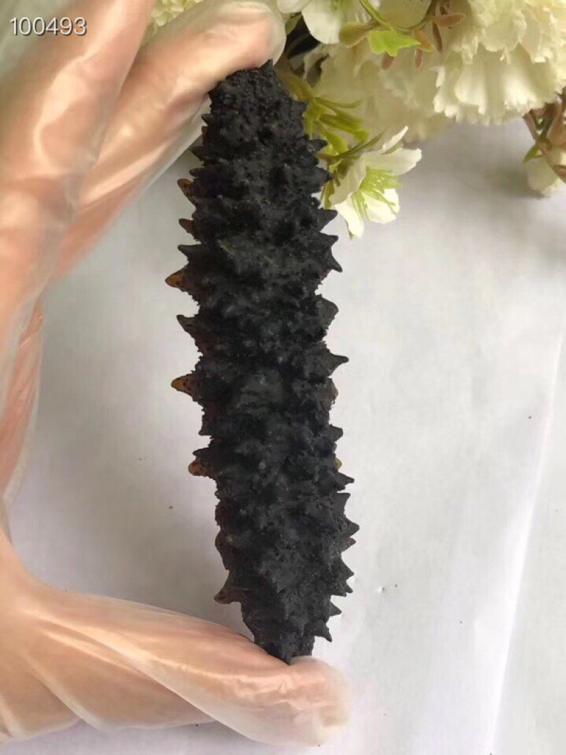 20头螺纹刺参，龙纹参，黑刺参