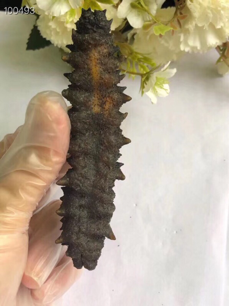 20头螺纹刺参，龙纹参，黑刺参
