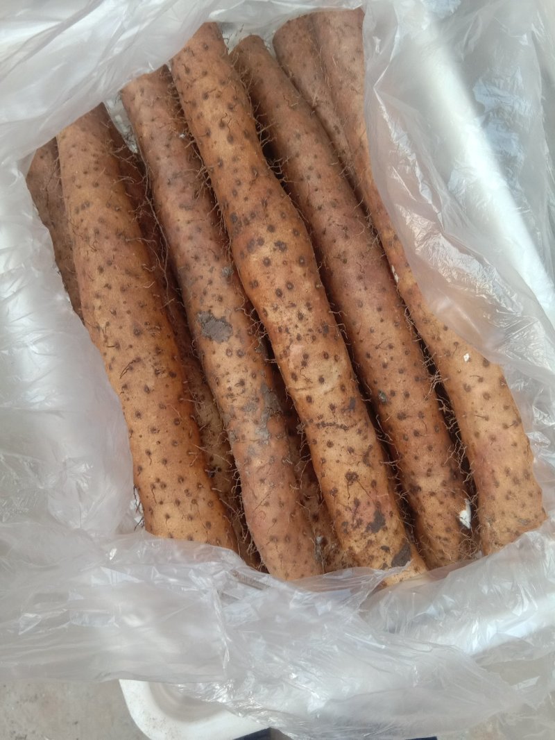 白玉山药颜色好质量好