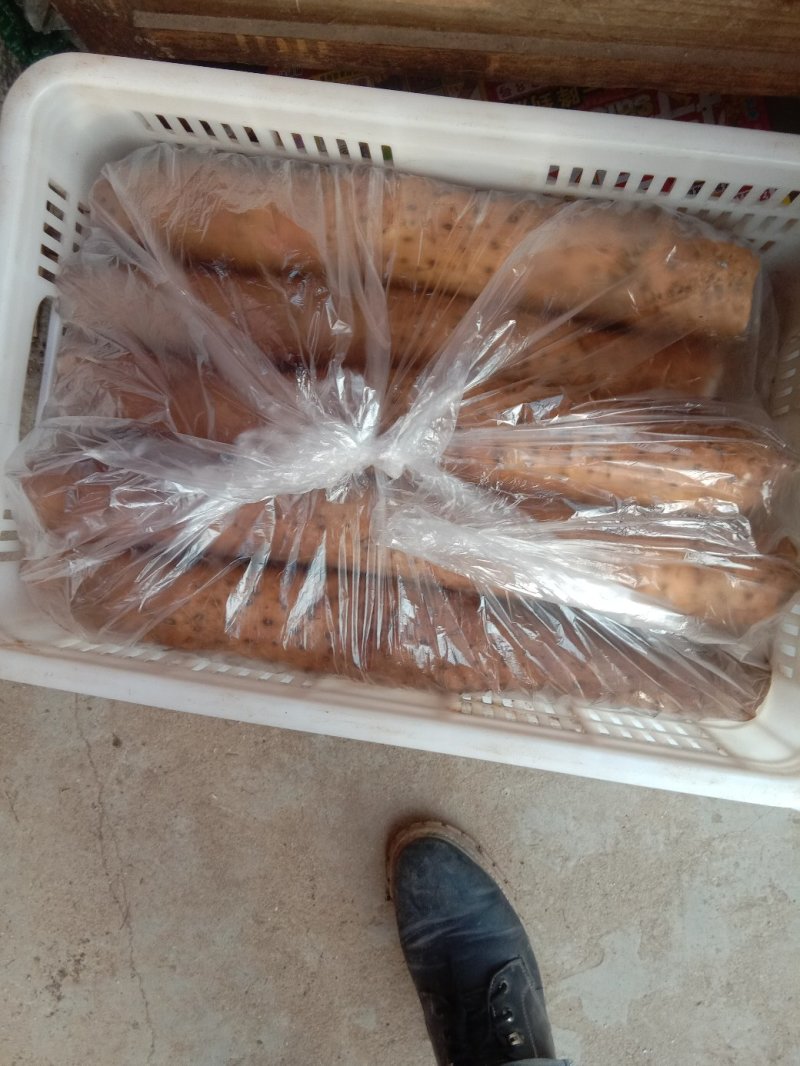 白玉山药颜色好质量好