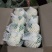 精品白面青梗有机松花菜单棵重量大约1.5~2.5斤