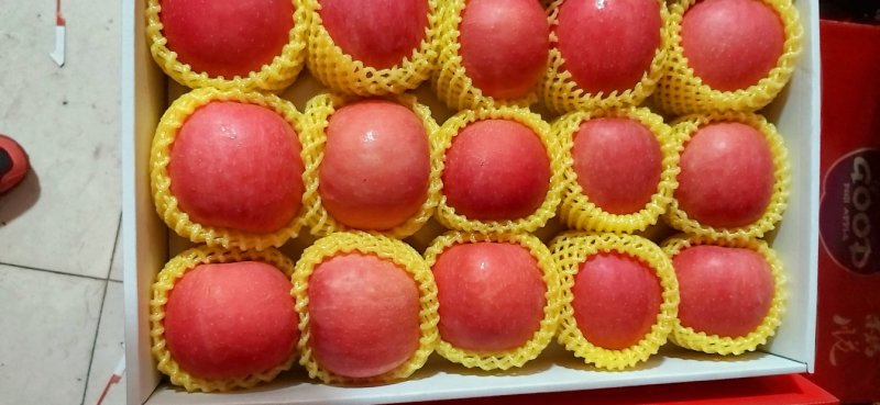 蓬莱精品85果