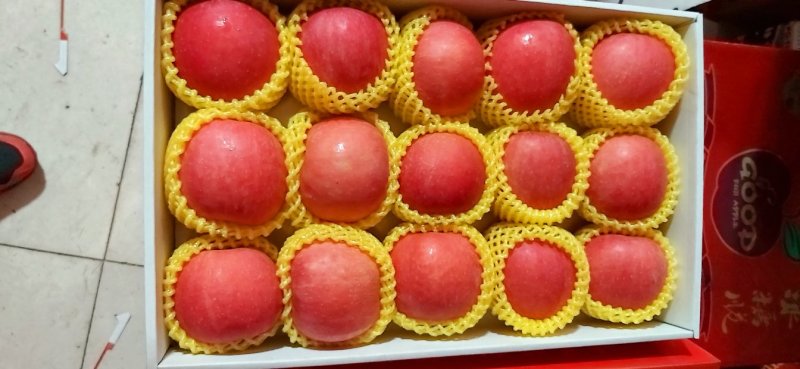 蓬莱精品85果