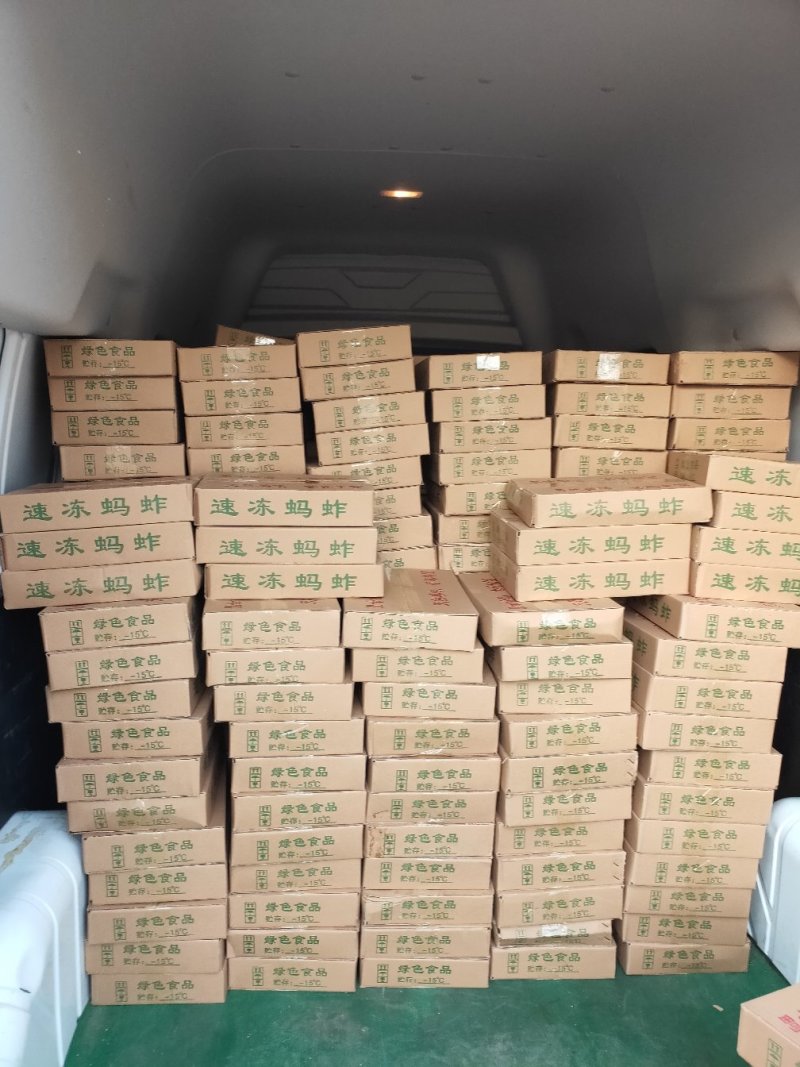 批发速冻蚂蚱，速冻蝗虫，批发蚂蚱蝗虫