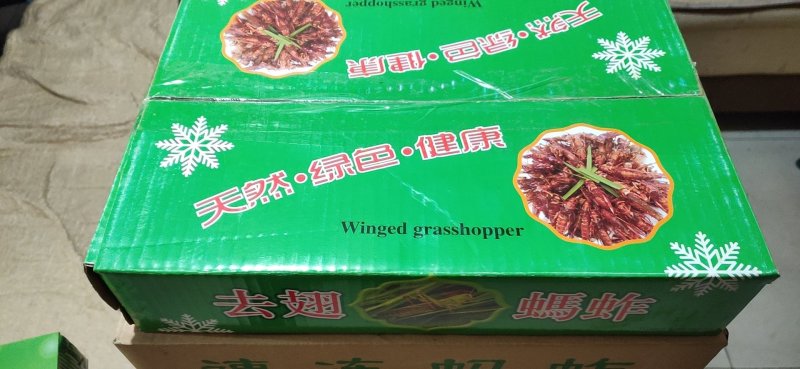 批发速冻蚂蚱，速冻蝗虫，批发蚂蚱蝗虫
