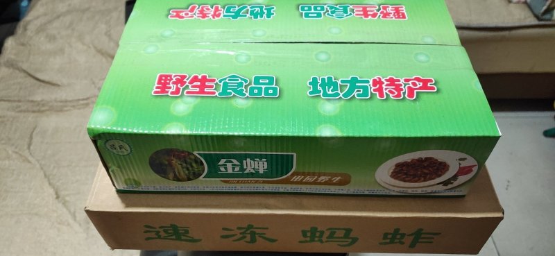 批发速冻蚂蚱，速冻蝗虫，批发蚂蚱蝗虫