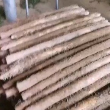 湖北山药基地大量上市质量好价格公道
