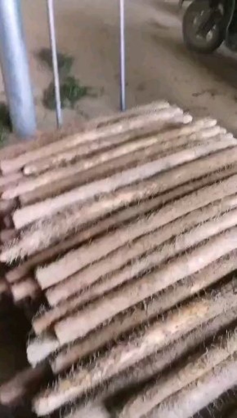 湖北山药基地大量上市质量好价格公道