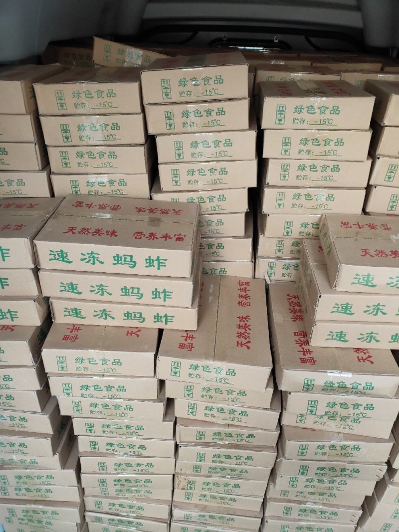 批发速冻蚂蚱，速冻蝗虫，批发蚂蚱蝗虫