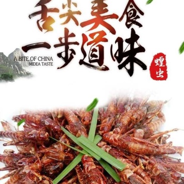 批发速冻蚂蚱，速冻蝗虫，批发蚂蚱蝗虫