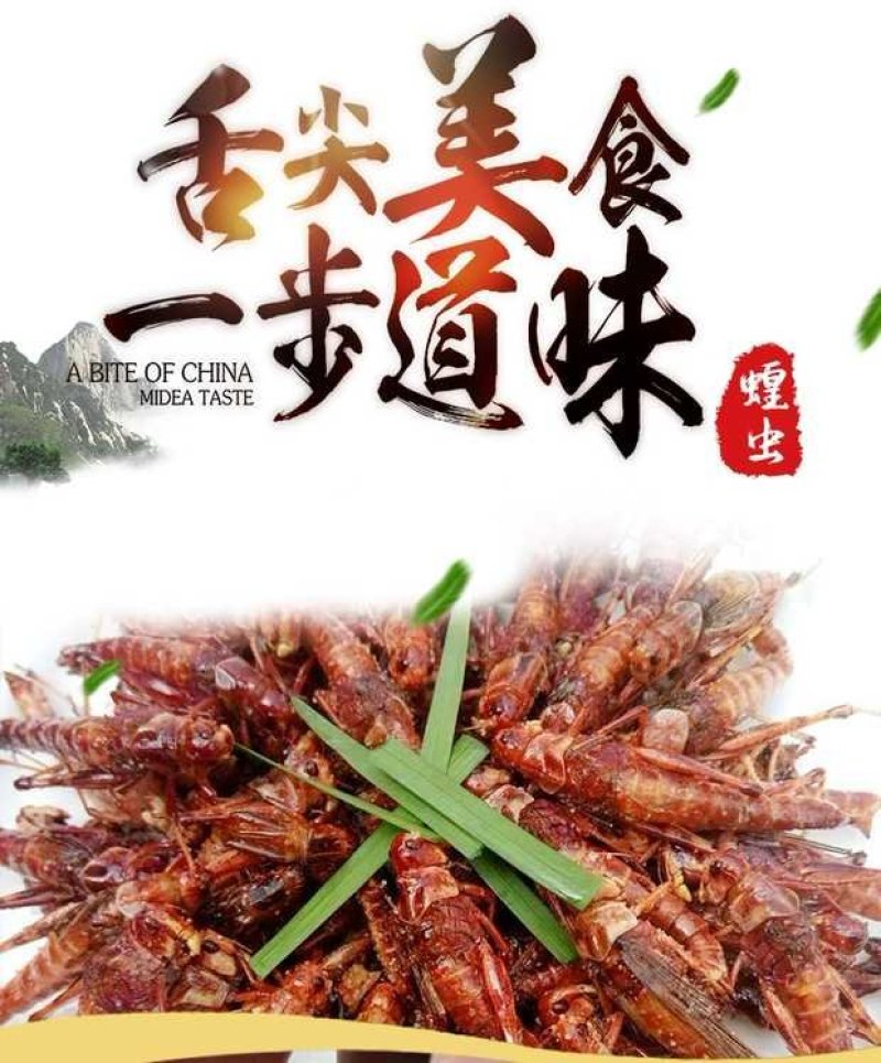 批发速冻蚂蚱，速冻蝗虫，批发蚂蚱蝗虫