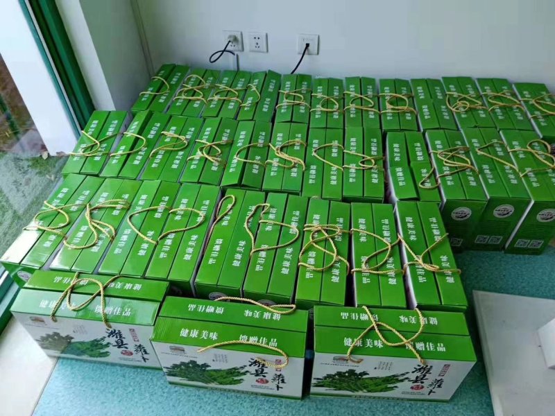 山东潍坊水果萝卜潍县萝卜青萝卜小绿腰水果萝卜产地直发