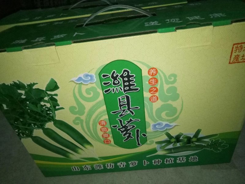 山东潍坊水果萝卜潍县萝卜青萝卜小绿腰水果萝卜产地直发