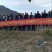清脆李，脆红李五月脆李，冰糖李