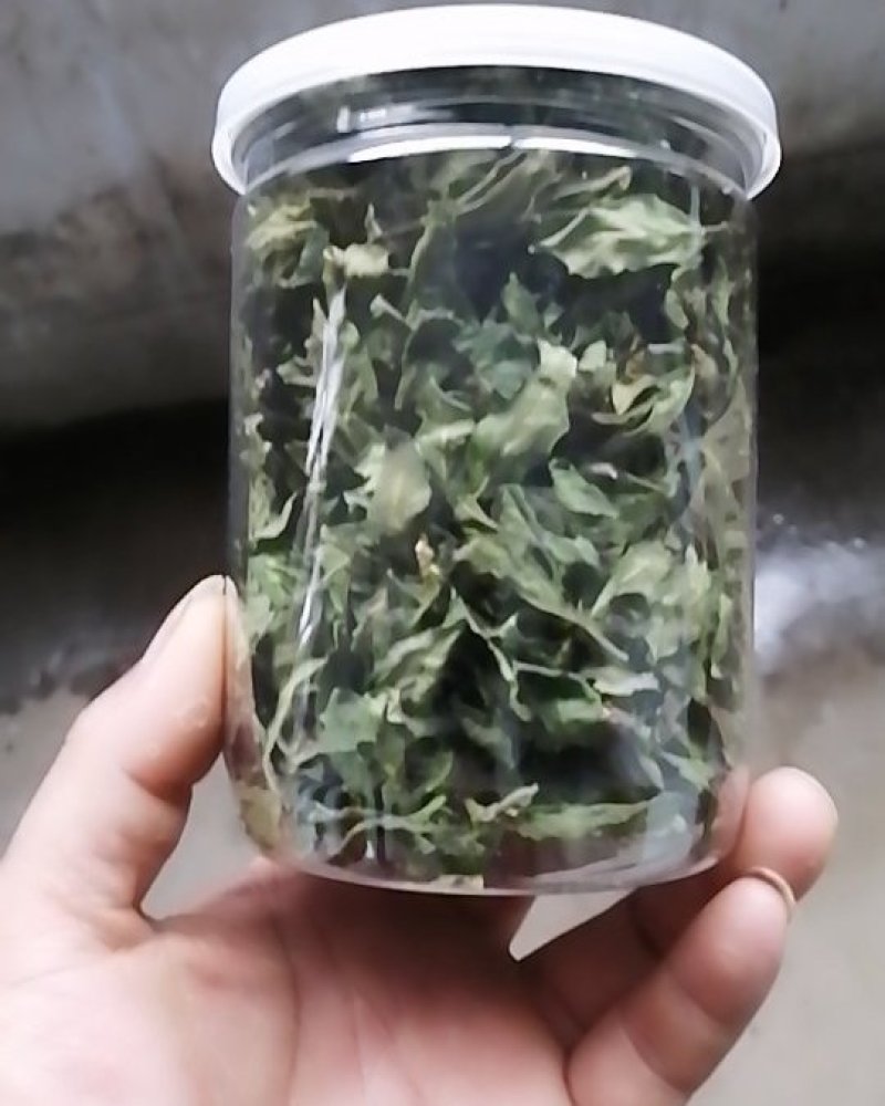 杜仲叶（按有机标准种植）