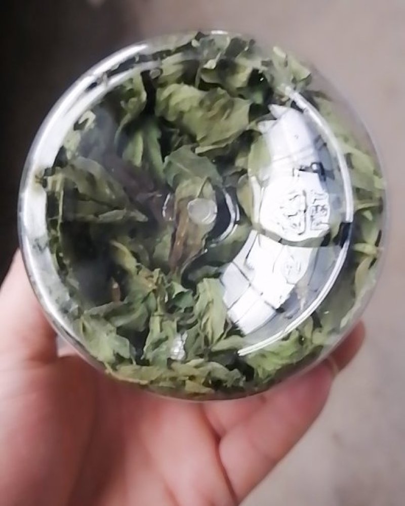 杜仲叶（按有机标准种植）