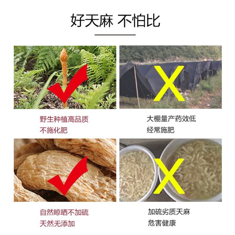 【特价】东北天麻粉正宗天麻超细粉250/g包邮