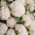 松花菜，四川【有机散花菜】青梗白面，小颗粒，一手货源