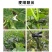 吊秧夹大棚黄瓜番茄西红柿西葫芦夹子农用塑料蔬菜绑蔓夹子吊