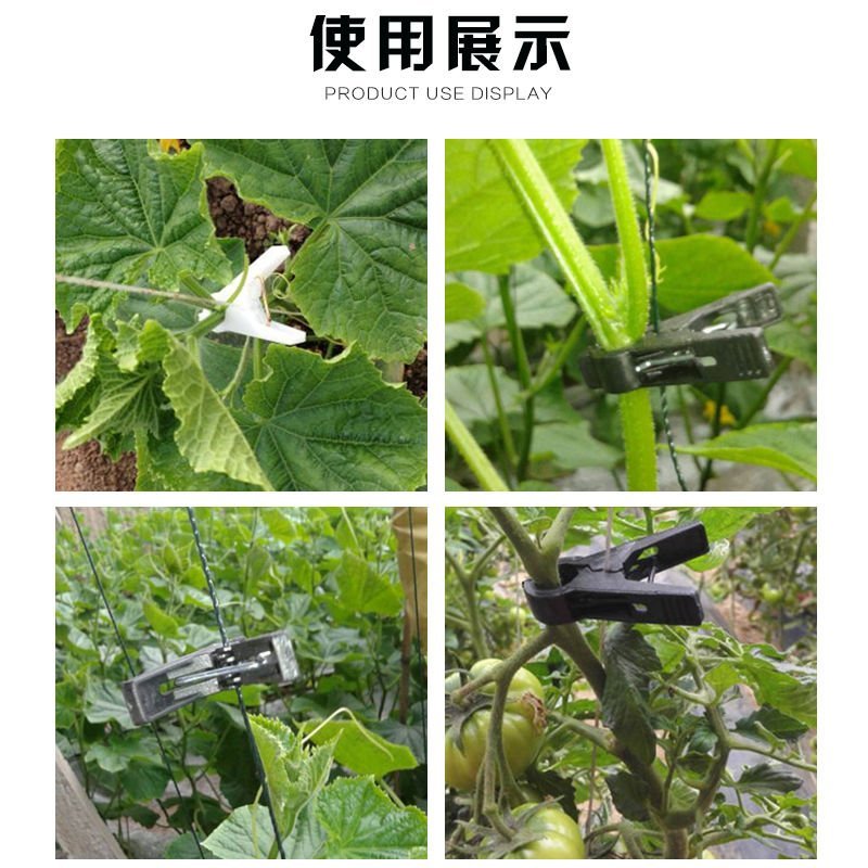 吊秧夹大棚黄瓜番茄西红柿西葫芦夹子农用塑料蔬菜绑蔓夹子吊