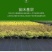 吊秧夹大棚黄瓜番茄西红柿西葫芦夹子农用塑料蔬菜绑蔓夹子吊