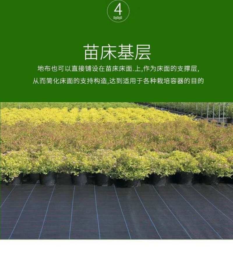 吊秧夹大棚黄瓜番茄西红柿西葫芦夹子农用塑料蔬菜绑蔓夹子吊