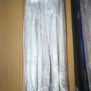 带鱼油带鱼条冻带鱼