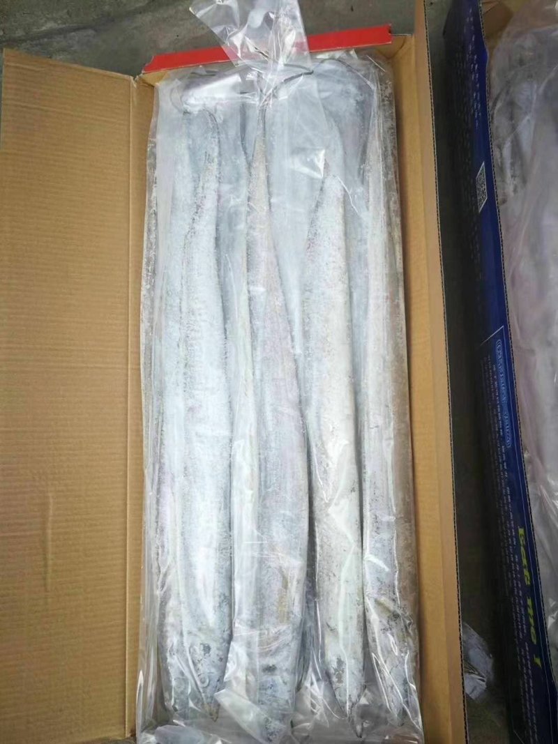 带鱼油带鱼条冻带鱼