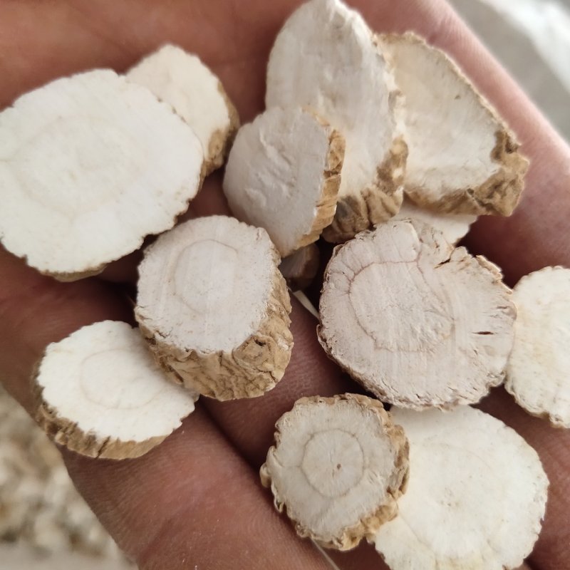 白芷山东白芷统货关书药业批发中药材