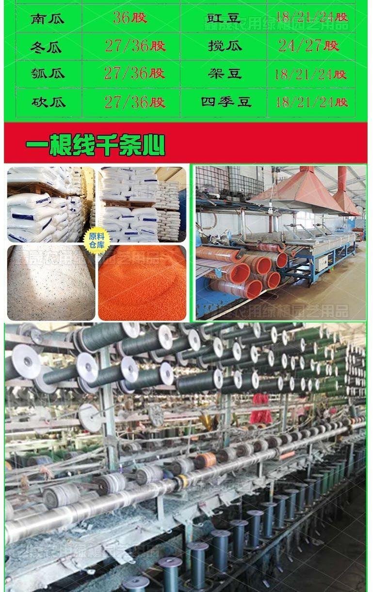 大棚吊秧绳蔬菜黄瓜吊蔓绳塑料绳子番茄西红柿爬藤网种植网农