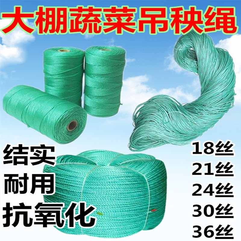 大棚吊秧绳蔬菜黄瓜吊蔓绳塑料绳子番茄西红柿爬藤网种植网农